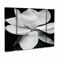 thumbnail image 2 of Michael Harrison 'Magnolia' Multi Panel Art Set Small 3 Piece, 2 of 4