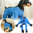 thumbnail image 5 of Pet Clothing for – Outdoor Shoe Cover Pants for Dogs Durable Pet Imitation Pants Walking Accessory Blue, 5 of 5