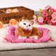 thumbnail image 4 of Adorables juguetes de peluche de gatito sentado en miniatura con encanto navideño amarillo, 4 of 5