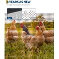 thumbnail image 4 of 48 In x100 Ft 1/2 In Hardware Cloth 19GA Galvanized Welded Wire Mesh for Chicken Coop Rabbit Fencing Garden Protection Poultry Netting Durable Outdoor Roll Black, 4 of 8