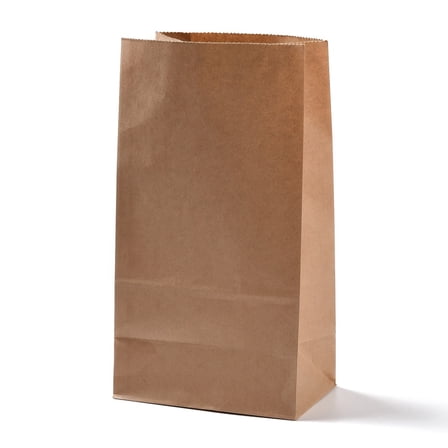 Rectangle Kraft Paper Bags None Handles Gift Bags BurlyWood 13x8x24cm