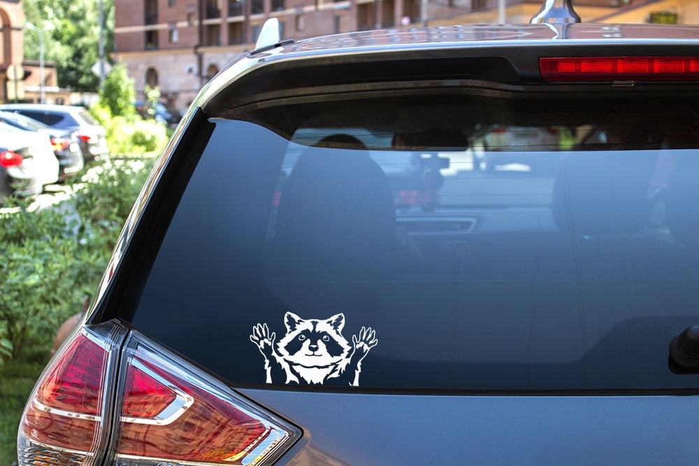Ocean Gift Chicken Car Decals – Pack Of 2 Farm Animal Window Stickers, 12 X 12 Inches