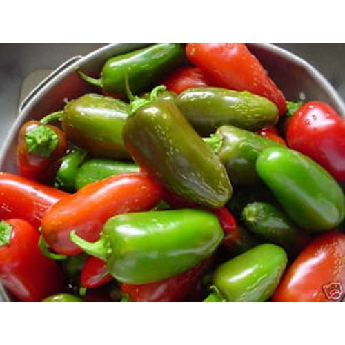Pepper HOT Jalapeno Early Great Heirloom Vegetable by Seed Kingdom (1 LB Seeds)