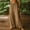 Khaki, variant on JUSLIO Women Linen Pants Linen Loose Elastic Waist with Pockets High Waist Plus Size Drawstring Straight Pants XXXL