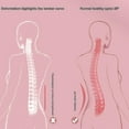 thumbnail image 5 of 2023 New Back Stretcher Pillow For Back Pain Relief, Lumbar Support, Herniated Disc, Sciatica Pain Relief, Posture Corrector, 5 of 5