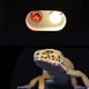 thumbnail image 4 of Reptile Light Fixture Terrarium Heat Lamp Dome Reptile Lighting Stand For Iguanas Hamsters Snakes Habitats Individually Controlled No Bulbs, 4 of 9