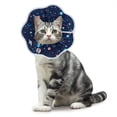 thumbnail image 1 of Colliers Anti-Morsure Réglable Protection Confortable Cône de Récupération Collier pour Chats et Chiots, Bleu (S), 1 of 5