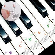 Removable Colour Transparent Piano Sticker Keyboard Paster Suit for 88/61/54/49/37/32 Key Beginner Learning Aid