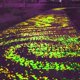 thumbnail image 3 of Resplandor Piedras luminosas Decoración Grava Peces Guijarros Adoquines Tanque Rocas fluorescentes oscuras para jardín Acuario Patio trasero Boda al Amarillo Macarena Piedras luminosas, 3 of 7