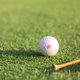 thumbnail image 1 of unbranded Herramienta De Sello Para Golf En Plástico Resistente Color Negro Ideal Para Estudiantes, 1 of 8