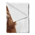 thumbnail image 2 of Poodle Soft Flannel Fleece Throw Blanket, Dog Sitting on a White Backdrop with a Tongue, Cozy Plush for Indoor and Outdoor Use, 50" x 60", Dark Rosewood Pale Brown, by Ambesonne, 2 of 5