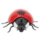 thumbnail image 2 of Juguete de simulación de insecto Coccinella septempunctata con control remoto infrarrojo y sensor portátil., 2 of 9