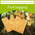 thumbnail image 6 of Against Insect Bird Pulp Paper Bag Reusable 50x180cm Yellow Outside And Black Inside Pouch For Vegetable 100PCS, 6 of 16