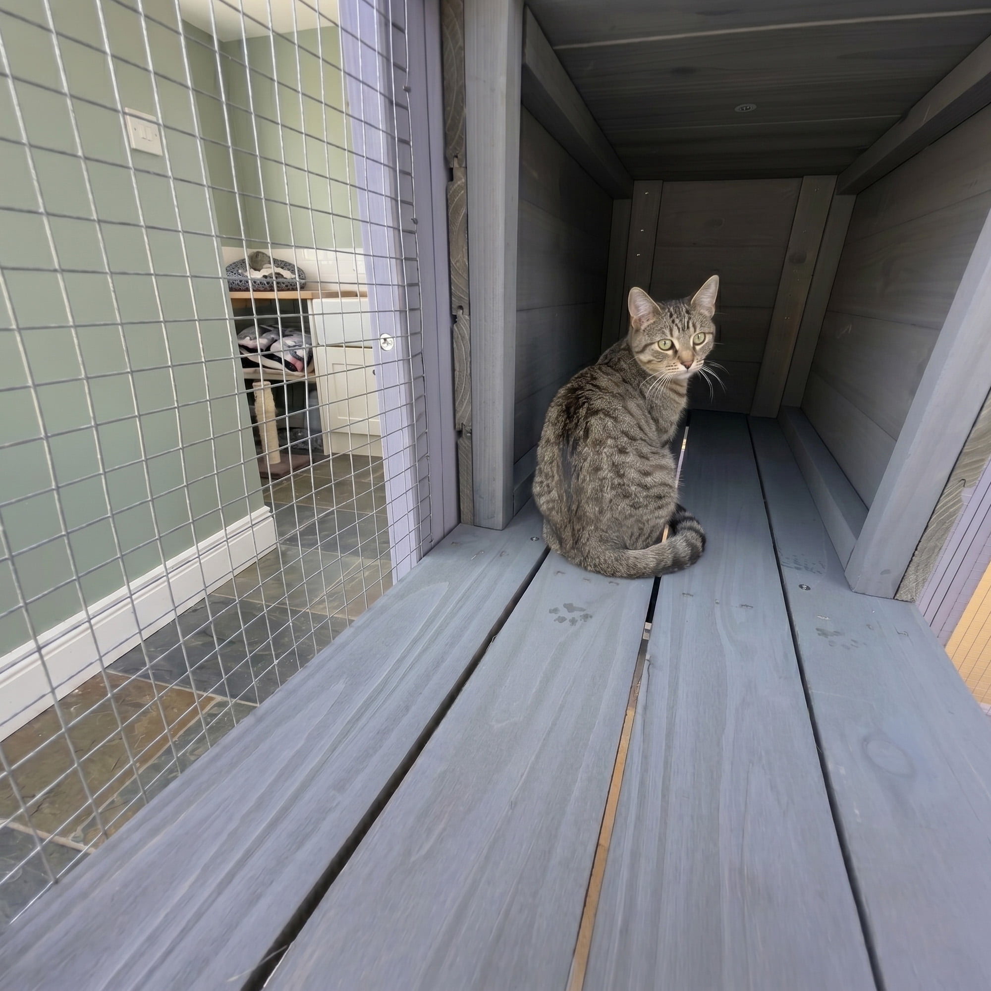 62.6" Wooden Catio, Large Cat Enclosure with Waterproof Cover, 2 Napping Houses, Multi-Platforms & Galvanized Metal Wire – Secure Outdoor Pet Cage Shelter
