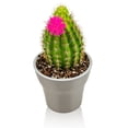 thumbnail image 6 of Gardenera Labs Professional Succulent Soil Premium All Purpose Blend | Pre-Mixed Ready to Use for Cactus and Succulents | Sphagnum Peat Moss, Perlite, New Zealand Pine Bark - Made in USA - 4 Quart, 6 of 8