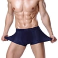 thumbnail image 1 of Ropa interior de seda de hielo para hombre, ropa interior tipo bóxer de modal convexo en U de malla para hombre, ropa interior de moda de verano para hombre, 1 of 6