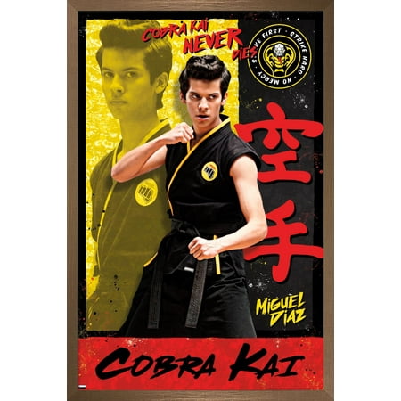 Cobra Kai - Miguel Wall Poster, 14.725" x 22.375", Framed