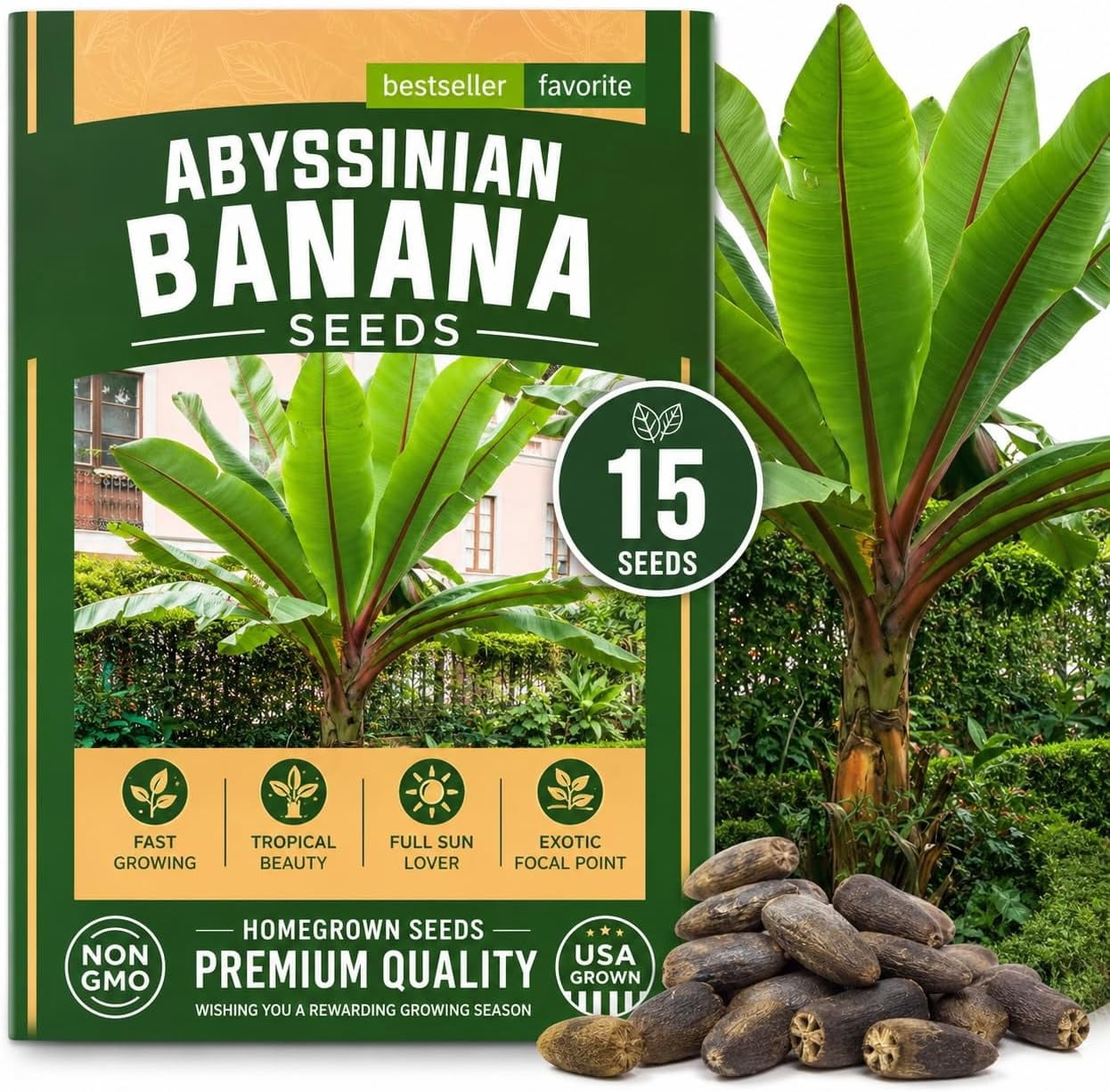 Banana Tree Seeds for Planting - 10 Seeds - Walmart.com