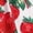 Watermelon Red, variant on Xmyrz Dresses For Girls Vacation Dresses Comfortable Print Halter A-Line Leisure Versatile Sleeveless Casual Dresses Going Out Dresses Cute Dresses