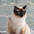 thumbnail image 3 of Gafas para perros, mascotas, pequeñas, medianas, ajustables, impermeables, gafas de terre, disfraz de , gafas, suministros de protección contra la Negro Marco Gris Len Yinane Mascotas gafas, 3 of 6