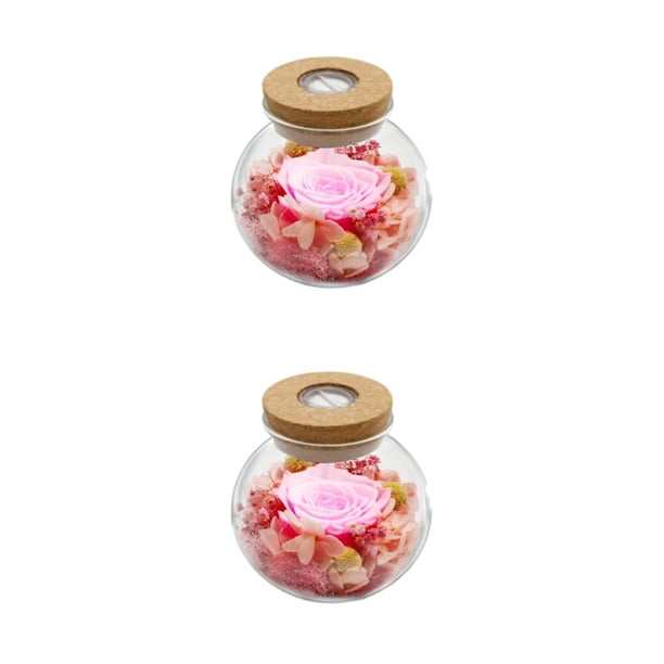 Naiovety Eternal Lantern - Forever Bright Colors Tratamiento de agua dulce Luminous Eternal Flower rosa rosa 2piezas