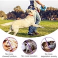 thumbnail image 4 of Juguete para perros Pamlulu Tough para perros grandes que mastican agresivamente, 4 of 7