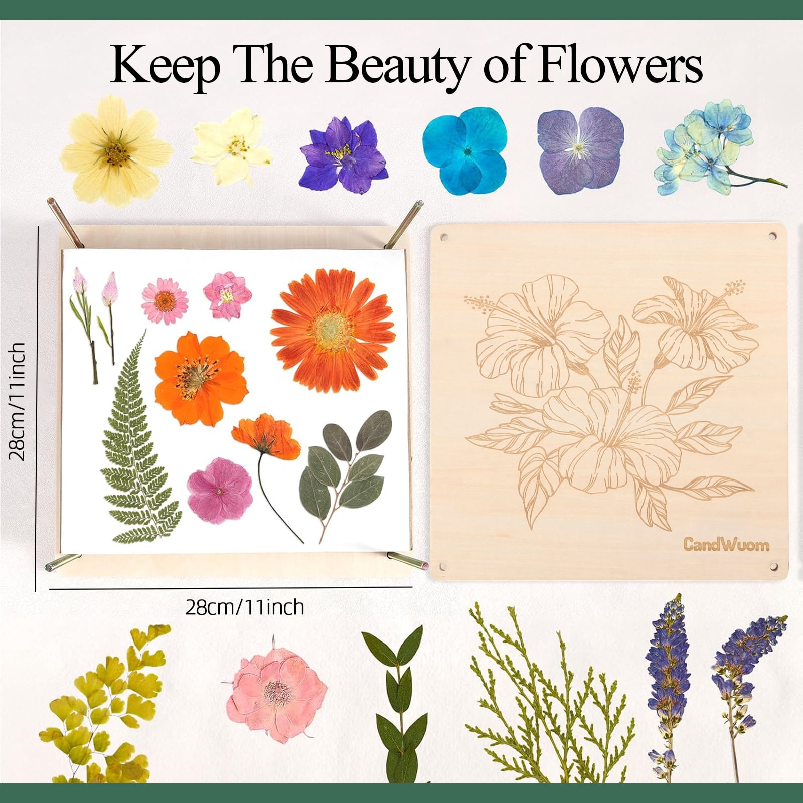 CandWuom Flower Press Kit, 11" x 11" Large Wooden Flower Pressing Craft for Adults & Kids, Bouquet Preservation Kit, DIY Flowers Drying Art, Ideal Gift for Arts and Crafts Lovers