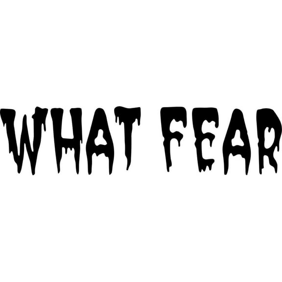 What Fear Picture Art Boys BedRoom- Peel & Stick Sticker - Vinyl Wall Decal Size : 6 Inches X 22 Inches
