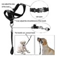 thumbnail image 5 of Halti Head Collar Dog Training Obedience Stop Pulling On Lead No Pull Solution, 5 of 5