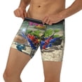 thumbnail image 3 of Lsque Pikmin Pattern Men's Performance Stretch Underwear, Athletic Long Leg Briefs，Moisture-Wicking-XX-Large, 3 of 6