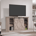 thumbnail image 3 of Twin Star Home Terryville Barn Door TV Stand for TVs up to 60", Ashland Pine, 3 of 8