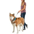 thumbnail image 4 of Nite Ize Raddog All-in-One Collar + Leash Combo, Dog Collar with Built-in Retractable Leash, Blue, Large 16"-20", 4 of 7