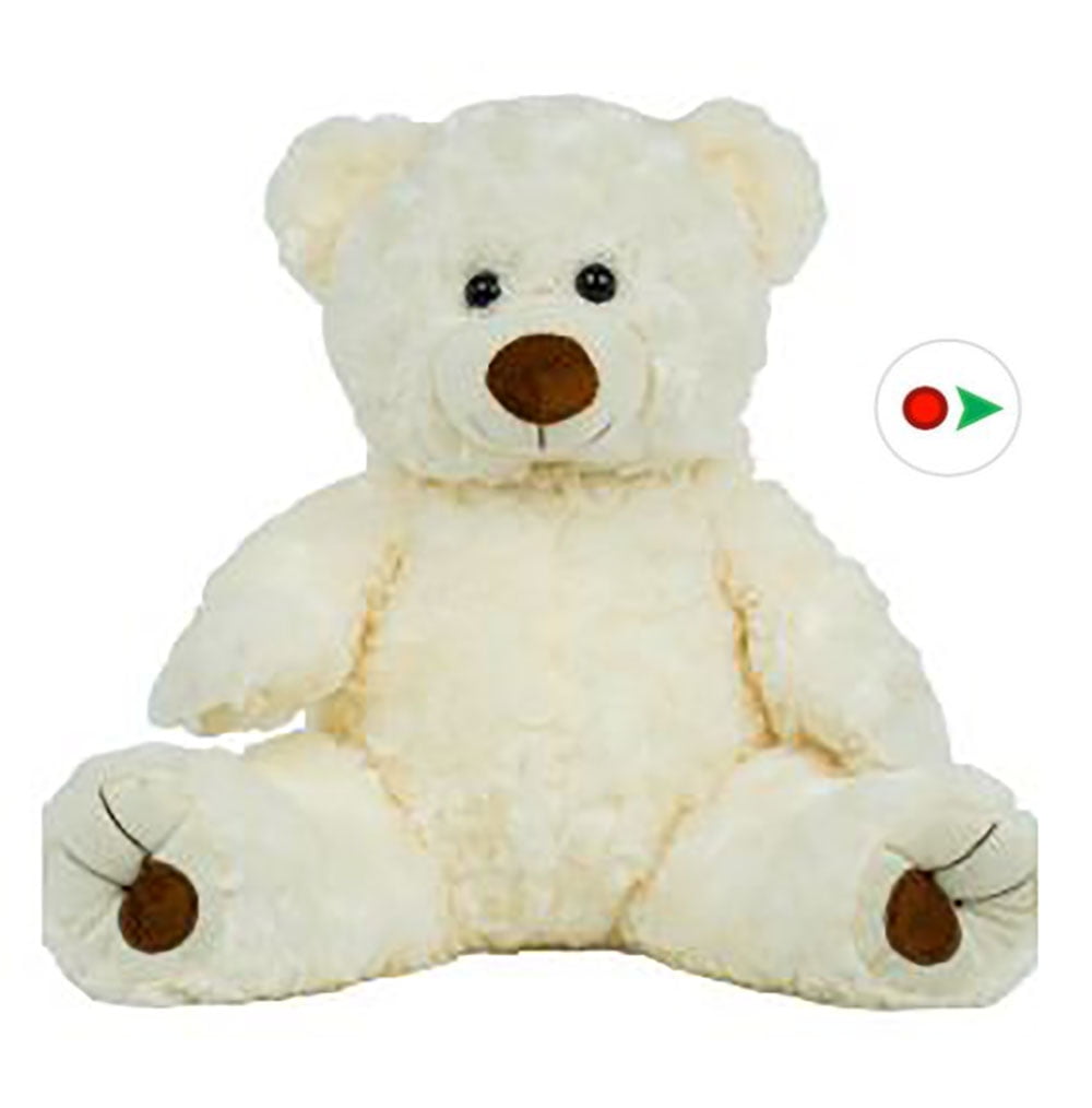 Record Your Own Plush 16 inch White Twist Bear - Ready 2 Love in a Few Easy Steps - Walmart.com
