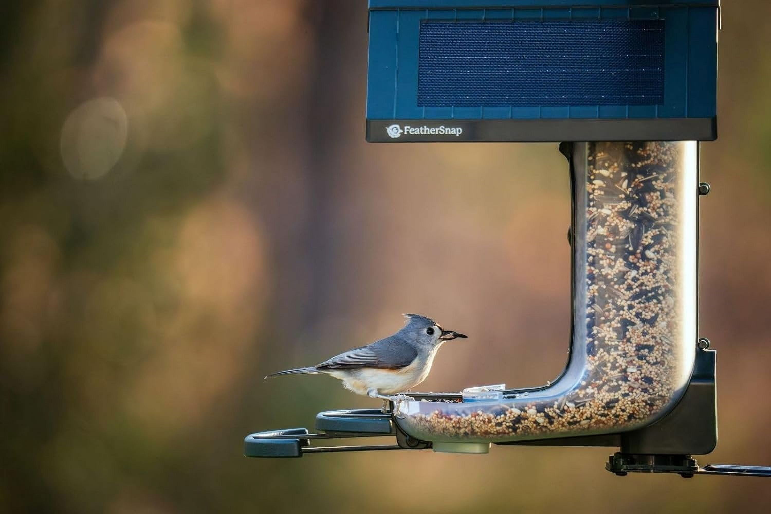 Smart Birdfeeder with AI Identification and Wi-Fi Solar Powered, Captures HD Pictures and Videos Sent Directly to Your Phone Bird Feeder, Pole, & Starter Kit
