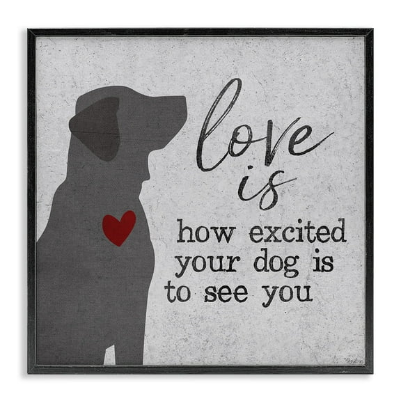 Stupell Industries Love is How Excited Your Dog is Quote Hearts Grey Red Framed Wall Art Design by Gigi Louise, 12" x 12", Black Framed