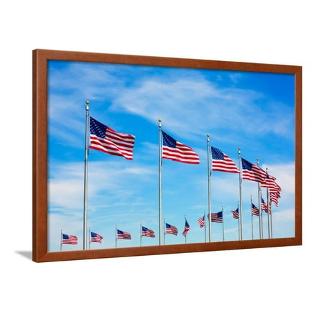 Washington Monument Flags Circle in DC United States USA Framed Print Wall Art By