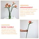 thumbnail image 5 of GOOHOCHY 1 flor artificial de ave del paraíso de plástico para decoración del hogar (naranja), 5 of 8