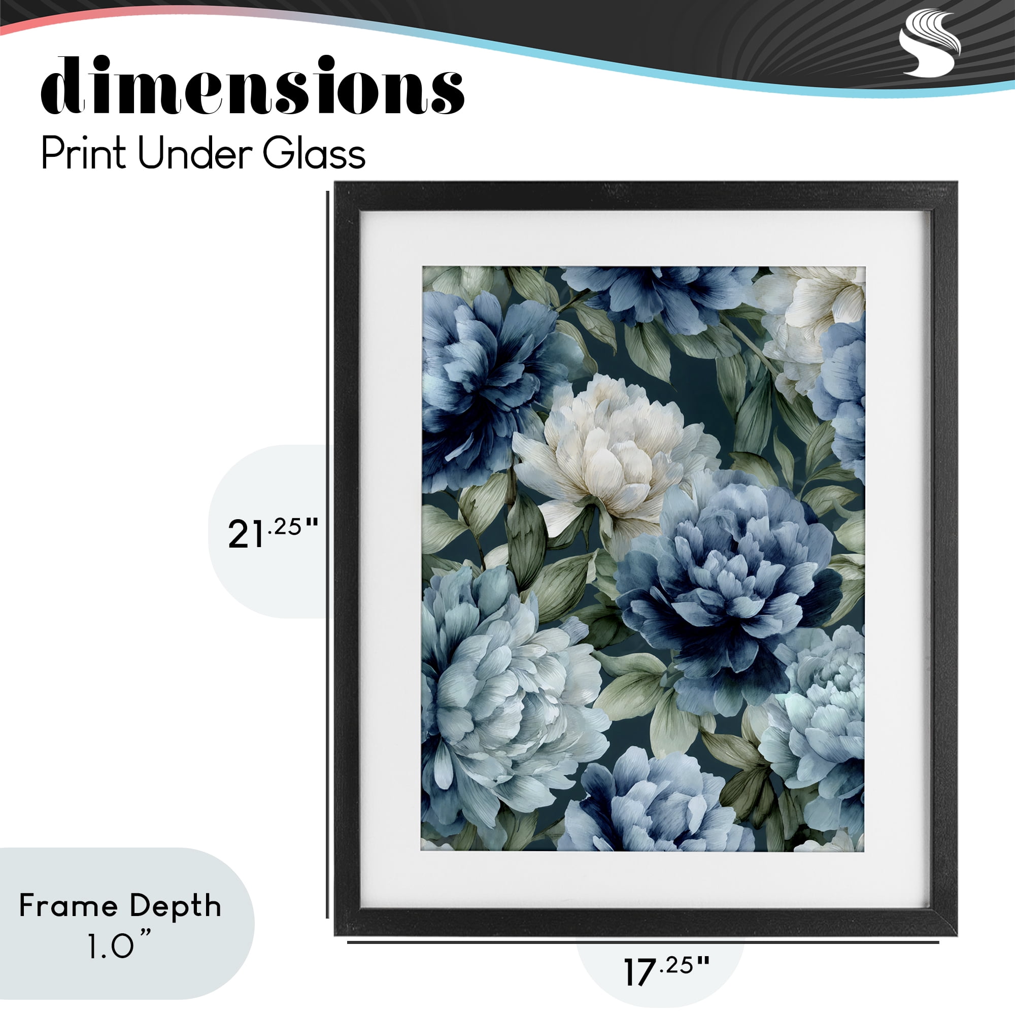 Stupell Industries Blooms On The Vine Black Framed Print Under Glass, design by Franklyn Gregory