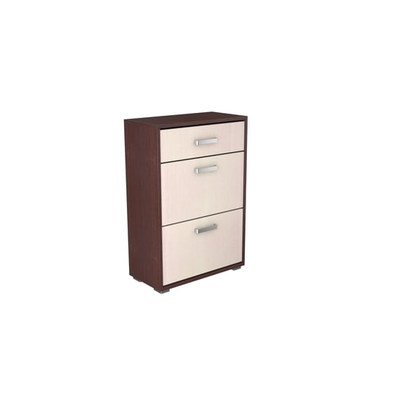 Alto Shoe Cabinet