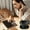 Black BK, variant on WIZUTIZ Hanging Ear Bluetooth 5.4 Headphones True Wireless Low Latency High Battery Type-C Fast Charging Multi Model Secure Fit Ergonomic For Sports Calls