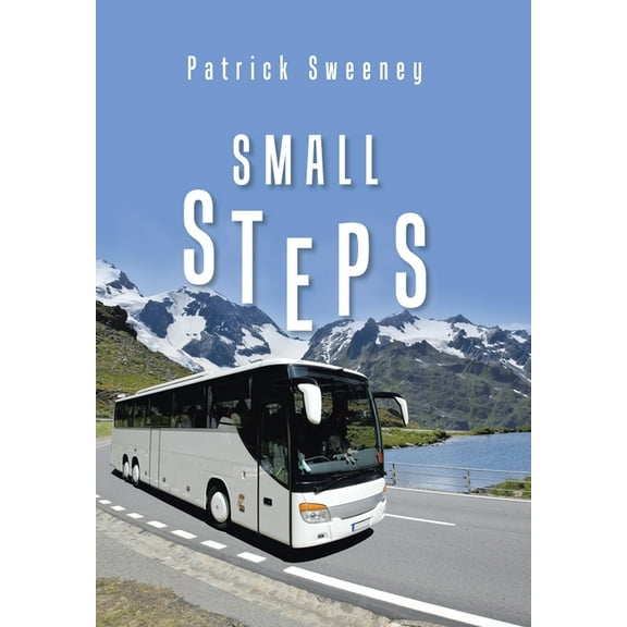 Small Steps (Hardcover)