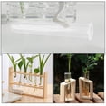 thumbnail image 3 of 4 tubos de ensayo de vidrio para cultivo de plantas, transparentes, multiusos, 3 of 8