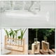 thumbnail image 3 of 4 tubos de ensayo de vidrio para cultivo de plantas, transparentes, multiusos, 3 of 8