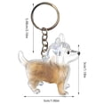 thumbnail image 2 of C Pet Hair Memorial Keychain Transparent Window Refillable Dog Cat Hair Storage Bottle Keepsake Pendant, 2 of 9