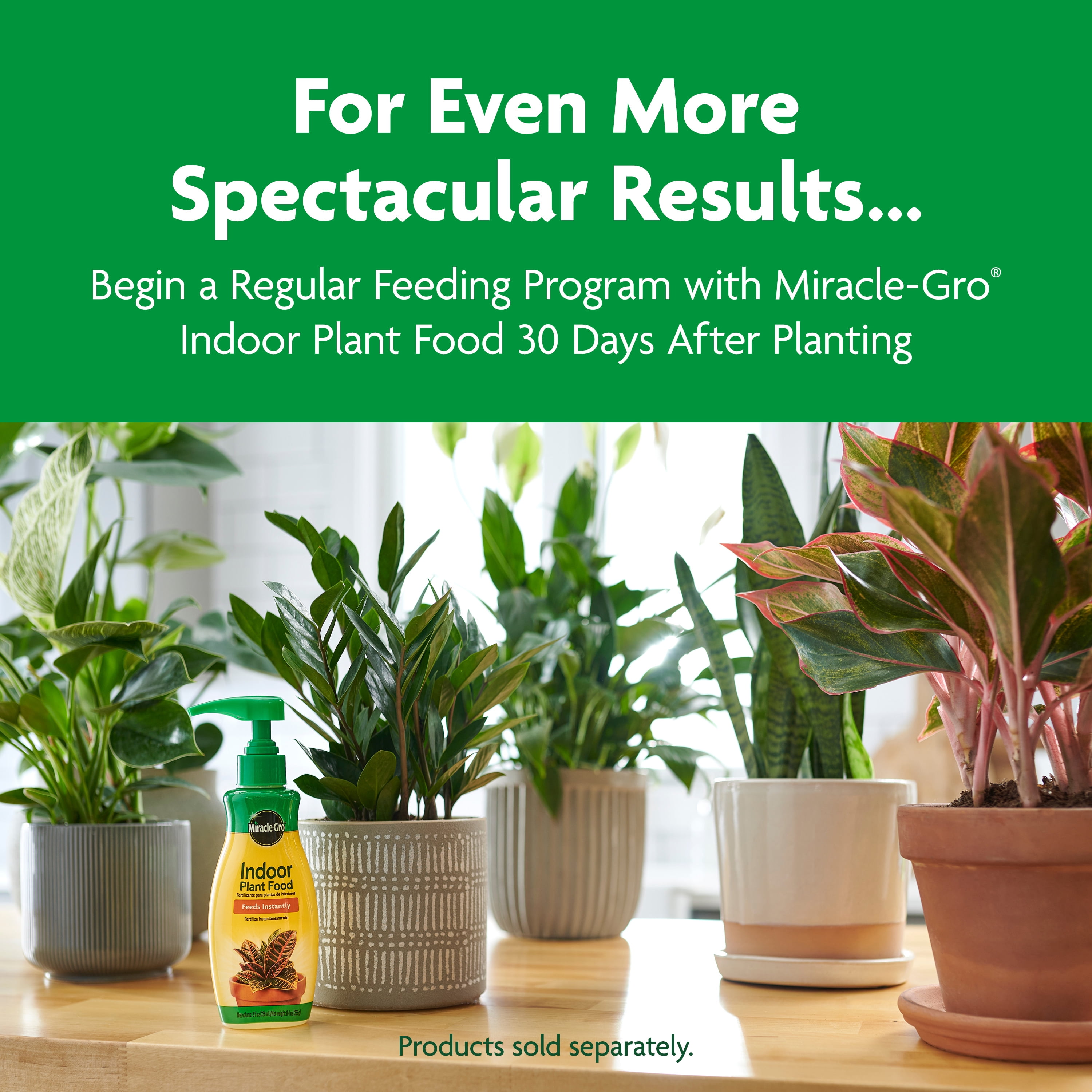 Miracle-Gro Indoor Potting Mix, Blended for a Variety of Houseplants, 6 qt., 2-Pack