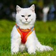 thumbnail image 2 of Pet Dog Cat Harness Puppy Kitten Adjustable Reflective Breathable Vest, 2 of 5