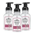 thumbnail image 1 of J.R. Watkins Foaming Hand Soap Pump with Dispenser, Moisturizing All Natural Foam, Alcohol-Free, Cruelty-Free, USA Made, Use as Kitchen or Bathroom Soap, Cherry Blossom, 9 fl oz, 3 Pack, 1 of 7