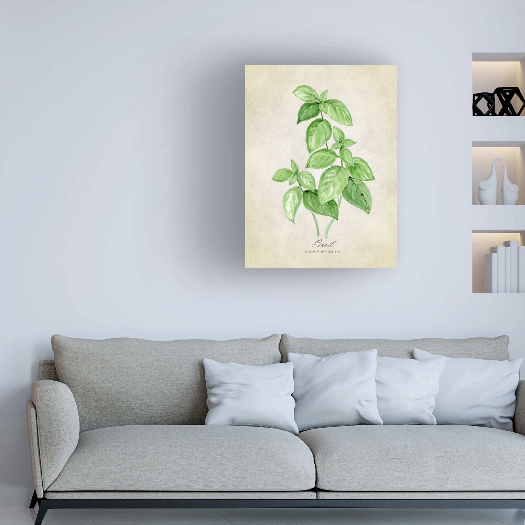 Trademark Fine Art Rosana Laiz Blursbyai Basil vintage Canvas Wall Art