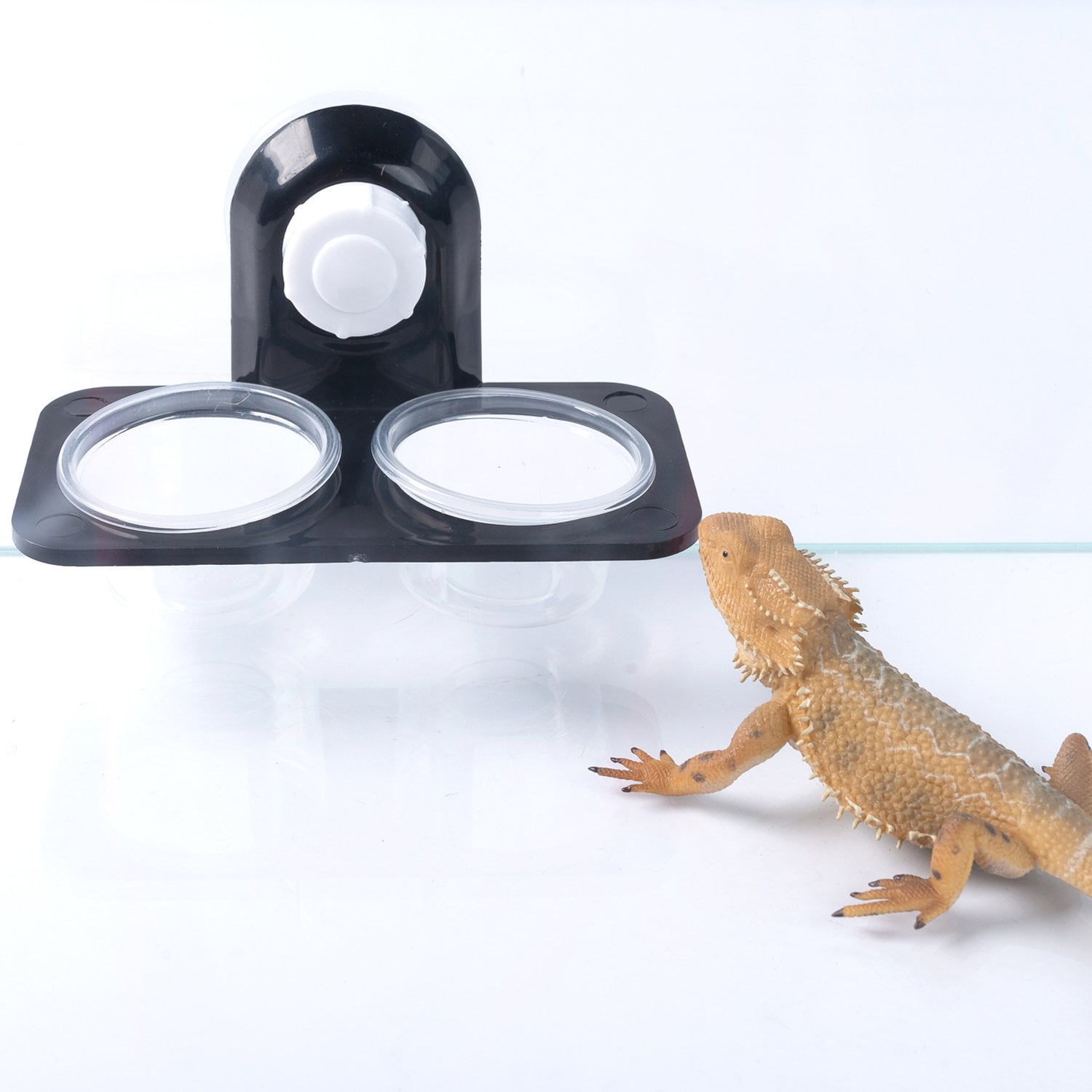 gecko feeding cups