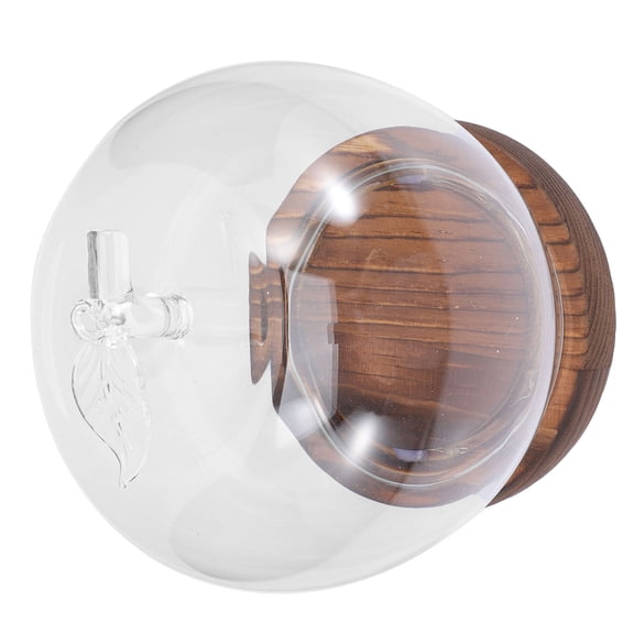 LEORX Clear Glass Cloche Dome with Base for Preserved Flowers and Indoor Decoration